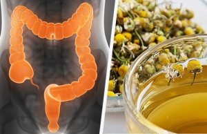 Cum se curăță colonul cu plante medicinale