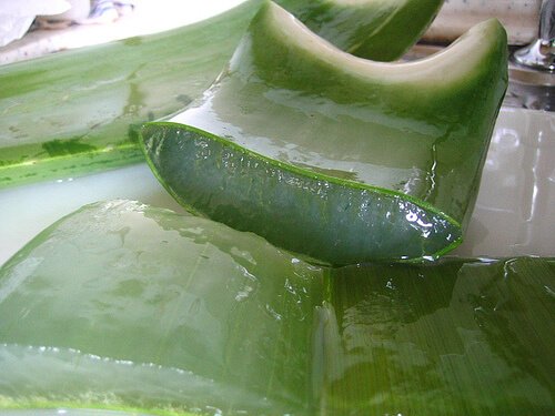 Aloe vera pe lista de remedii pentru petele pigmentare