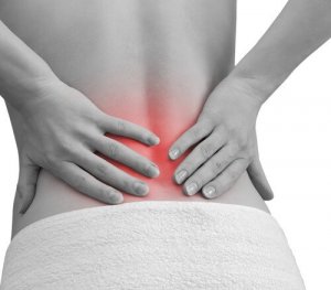 9 plante care ajută la relaxarea musculaturii