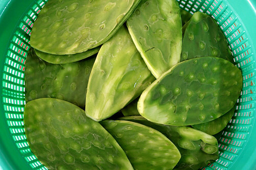 Frunze de nopal verzi
