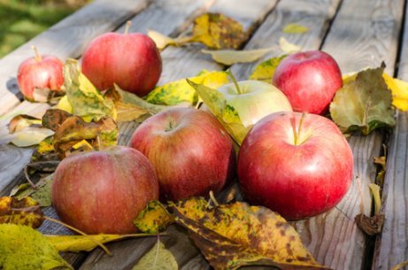 Este posibil să se vindece vene varicoase cu oțet de mere? Tratamentul oțetului de mere varicoză