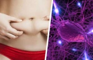 Echilibrul hormonal ajută la arderea grăsimilor