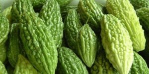 Momordica ameliorează diabetul și cancerul