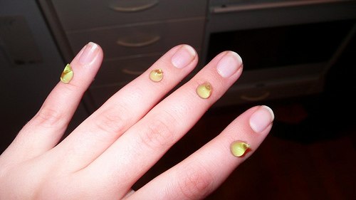 Aloe vera, parfum