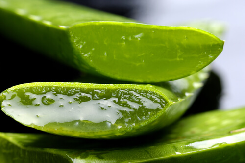 Aloe vera pentru arsurile solare
