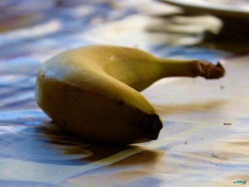 Banane pentru balonare