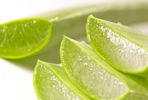 Colonul: aloe vera
