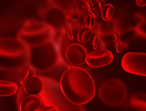 Curiozități despre corpul uman și nivelul de glicemie din sânge