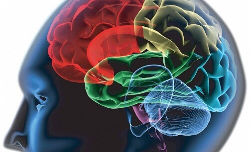 Creierul îți arată dacă ești rațional sau intuitiv