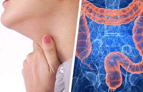 Știi că există o legătura intre gât și intestine?
