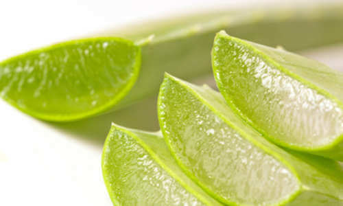 Petele de pe mâini: aloe vera