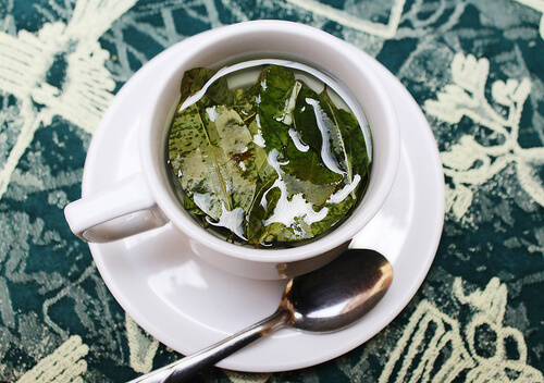 Remedii naturale pentru gingivită sub formă de ceai