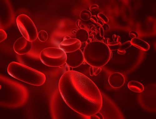Anemia poate cauza căderea părului la femei