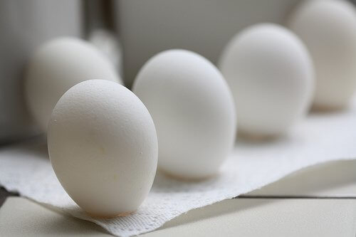 Coaja de ou: ouă