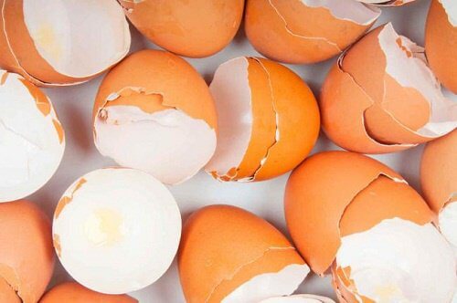 Coaja de ou – utilizări surprinzătoare