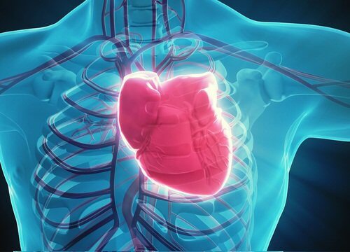 Infarct: inimă