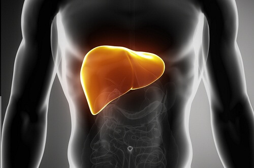 steatoza-hepatică-ficat-bolnav Steatoza hepatică, ficat bolnav
