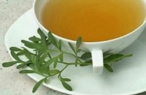 9 plante ce pot ameliora anxietatea