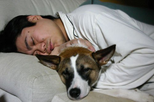 Bărbat care doarme cu un câine în brațe