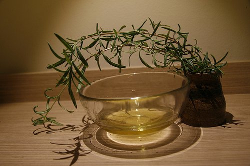 Uleiul de arbore de ceai te ajută să elimini mucegaiul