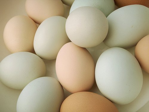 Ouă organice