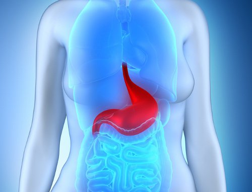 Caracteristici de pierdere în greutate în gastrită și ulcer gastric
