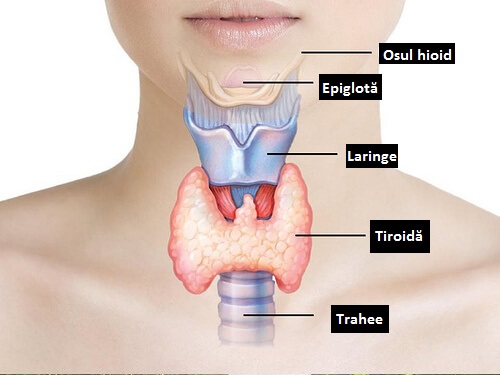 dureri ale glandei tiroide
