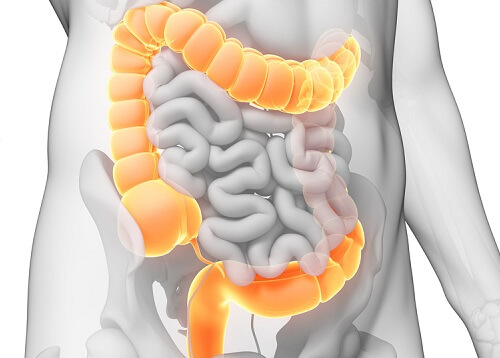 Colon și intestine