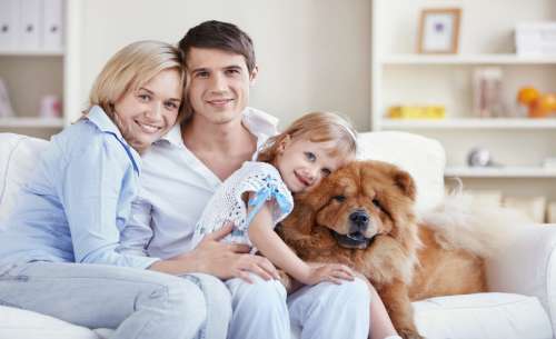 Familie de oameni de succes