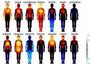 Emoțiile negative afectează sănătatea