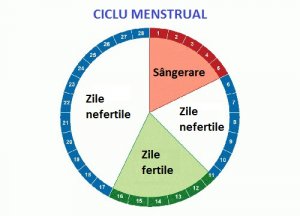 Care sunt zilele tale de fertilitate maximă?