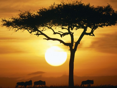 Peisaj din Africa