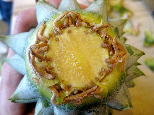 Când tai frunzele de la ananas, rămân niște rădăcini