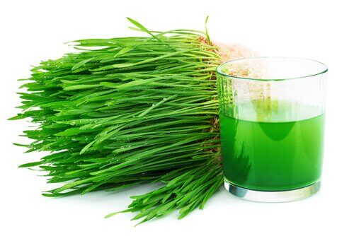 Clorofila detoxifică vezica urinară