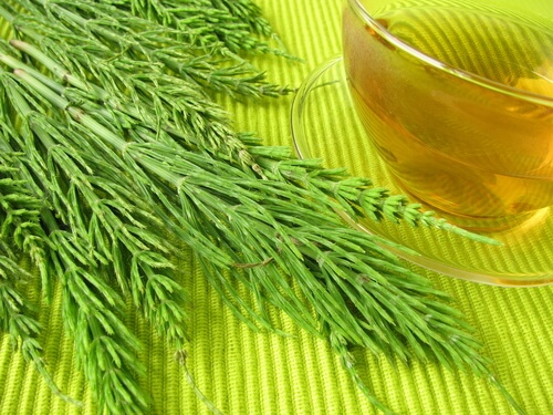Infuzie de coada calului