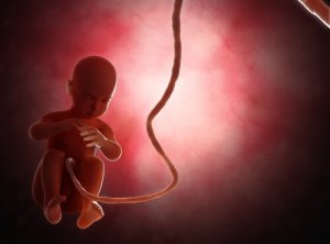Schimbările climatice pot afecta sexul copilului
