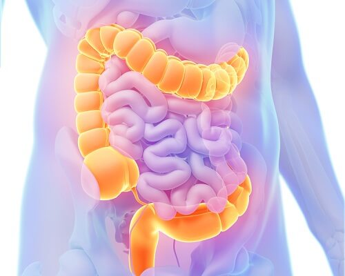 Tipuri comune de cancer precum cel de colon