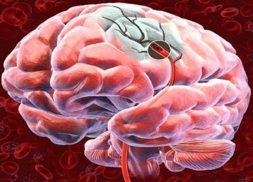 Fluxul sanguin cerebral: cum îl putem stimula?