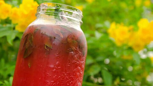 Semințele de pepene verde pot fi folosite pentru a produce un ceai detoxifiant