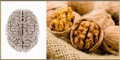 Fructele uscate, inclusiv nucile, sunt alimente sănătoase incredibile