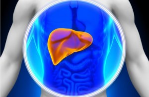 O dietă care susține sănătatea hepatică
