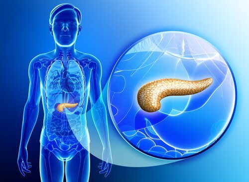 Sfaturi pentru detoxifierea pancreasului
