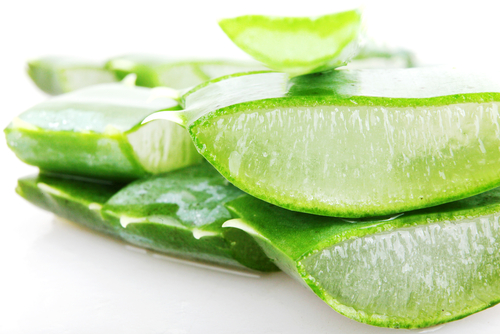 Tratament pentru varice cu aloe vera
