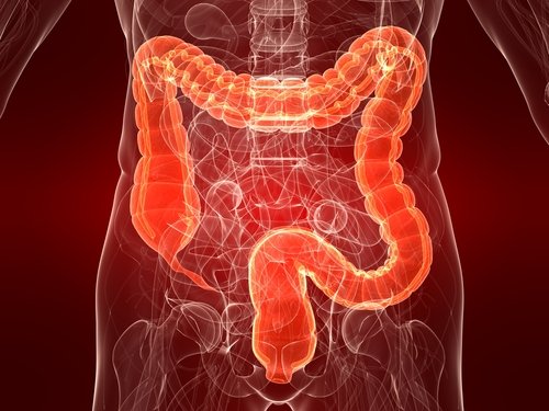 Afectiuni inflamatorii intestinale: boala Crohn si colita ulcerativa | techdepo.ro