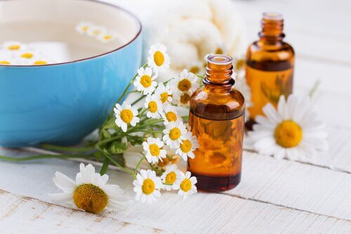 Mușețelul este remediu natural pentru hemoroizi