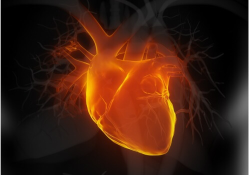 Trebuie să-ți protejezi inima dacă vrei să eviți orice probleme cardiace