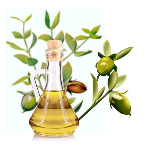 Ulei de jojoba ca ingredient în tratamente pentru păr cu bere