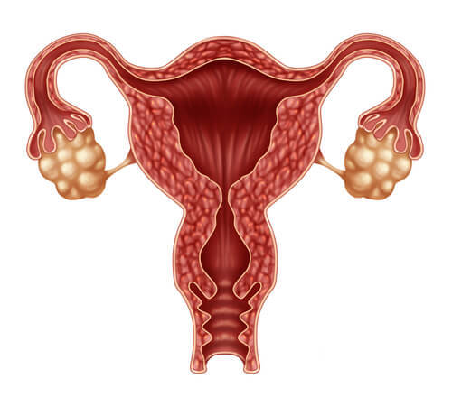 Ovulația este printre posibilele cauze ale sângerărilor intermenstruale
