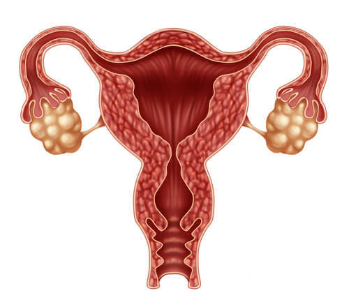 Ovulația este printre posibilele cauze ale sângerărilor intermenstruale 