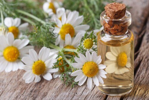 Uleiul de mușețel pe lista de remedii naturiste pentru bufeuri